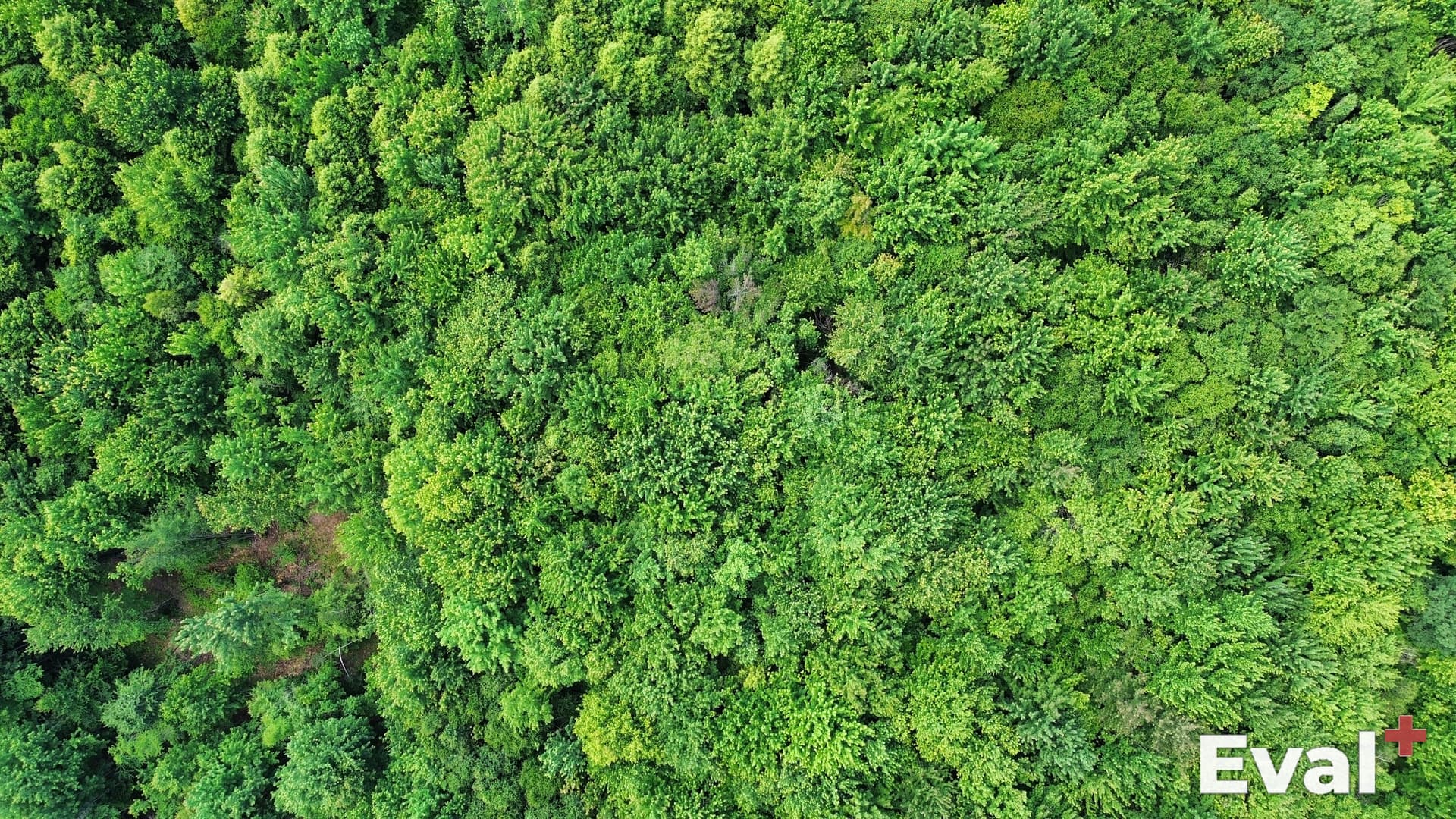 Vue aérienne par drone à Sorel-Tracy, Montérégie — évaluation immobilière Éval+