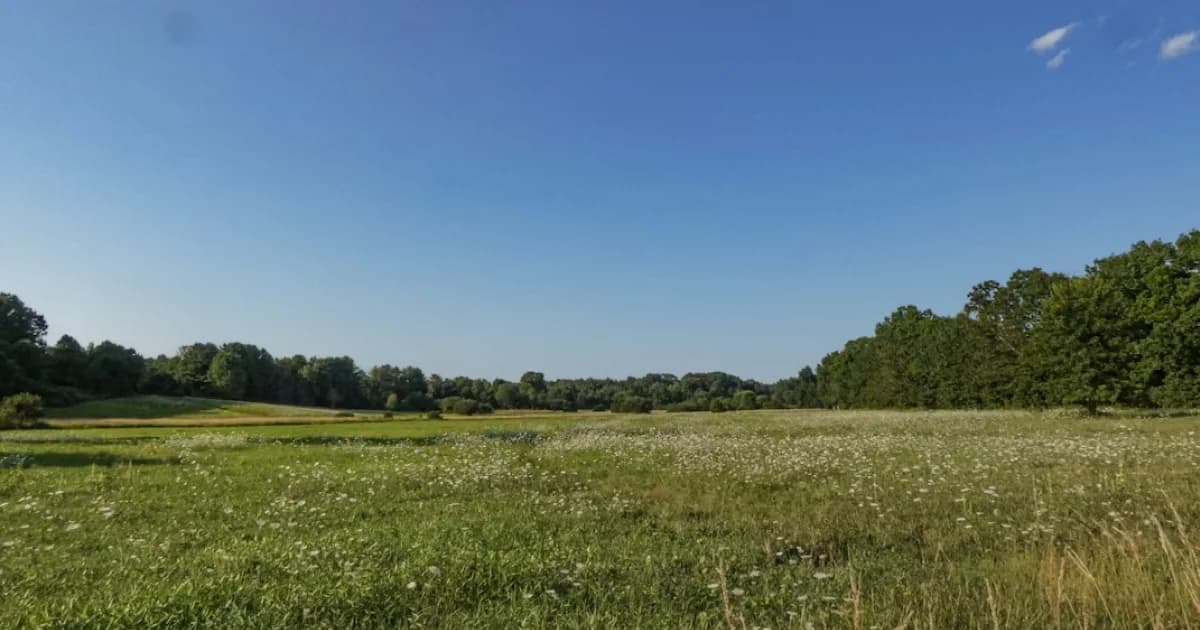 Comment évaluer un terrain vacant ?