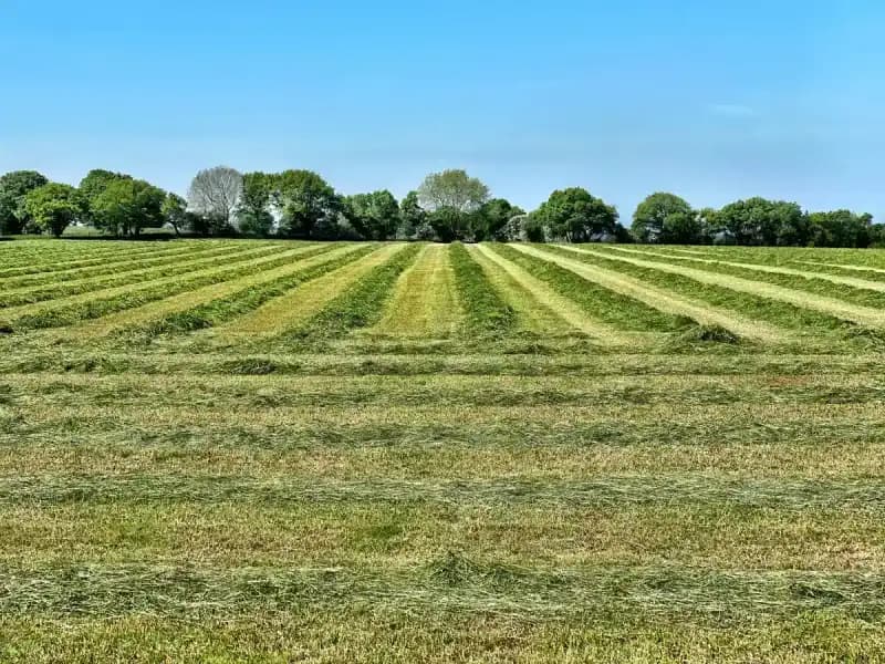 Évaluation de terrain à Sorel-Tracy par un évaluateur agréé OEAQ
