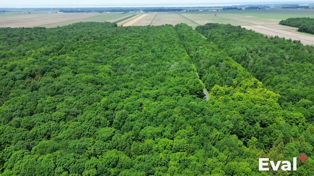 Nicolet (Centre-du-Québec) seen from the sky by drone — Éval+ property appraisal