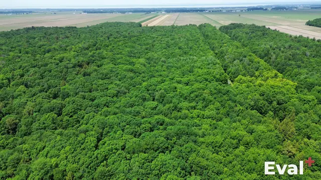 Aerial drone view of Nicolet, Centre-du-Québec — Éval+ real estate appraisal