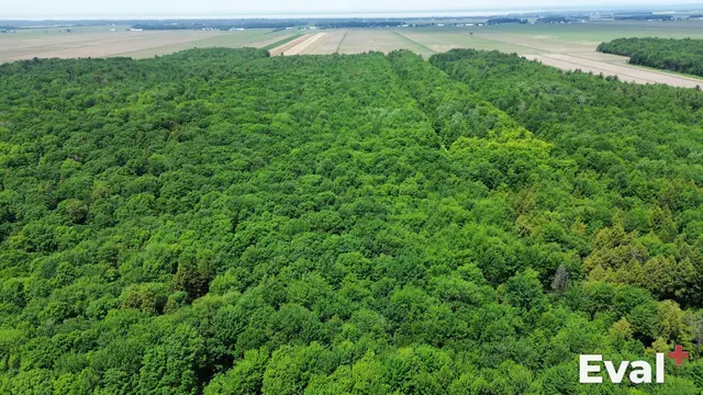 Aerial photograph of a Nicolet area in Centre-du-Québec — Éval+ chartered appraisers (OEAQ)