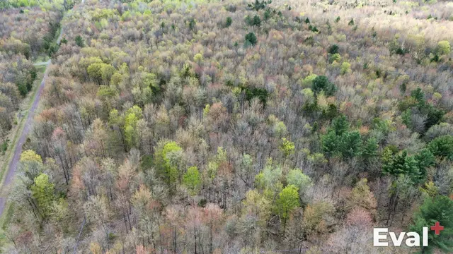 Drone shot over Roxton Pond, Estrie — Éval+ real estate appraisers