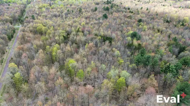 Roxton Pond (Estrie) seen from the sky by drone — Éval+ property appraisal