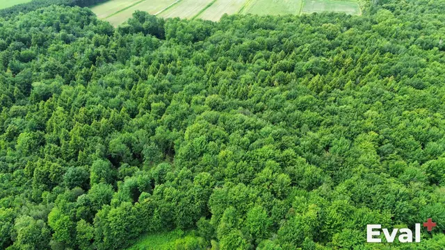 Aerial drone view of Saint-Robert, Montérégie — Éval+ real estate appraisal