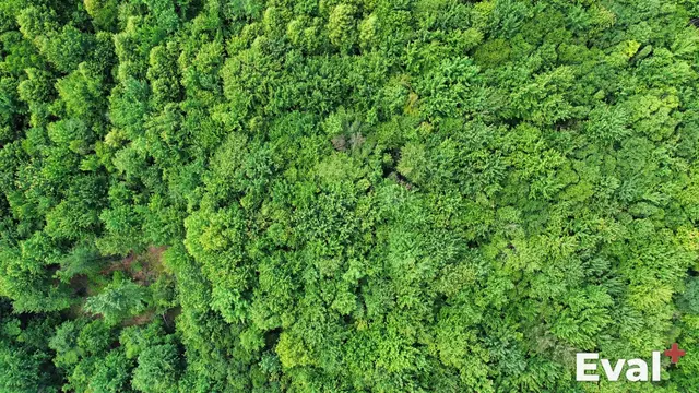 Aerial drone view of Sorel-Tracy, Montérégie — Éval+ real estate appraisal
